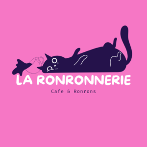 Le Cube - Agence Web Création - WordPress - Le Cube - project la ronronnerie