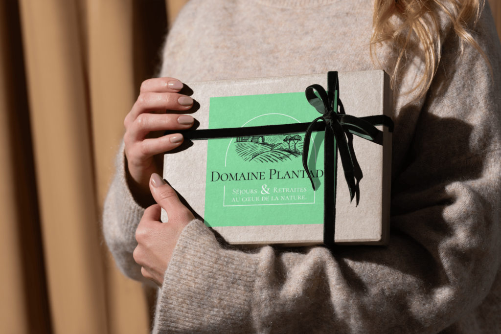 Le Cube - Agence Web Création - WordPress - Le Cube - project domaine Plantade