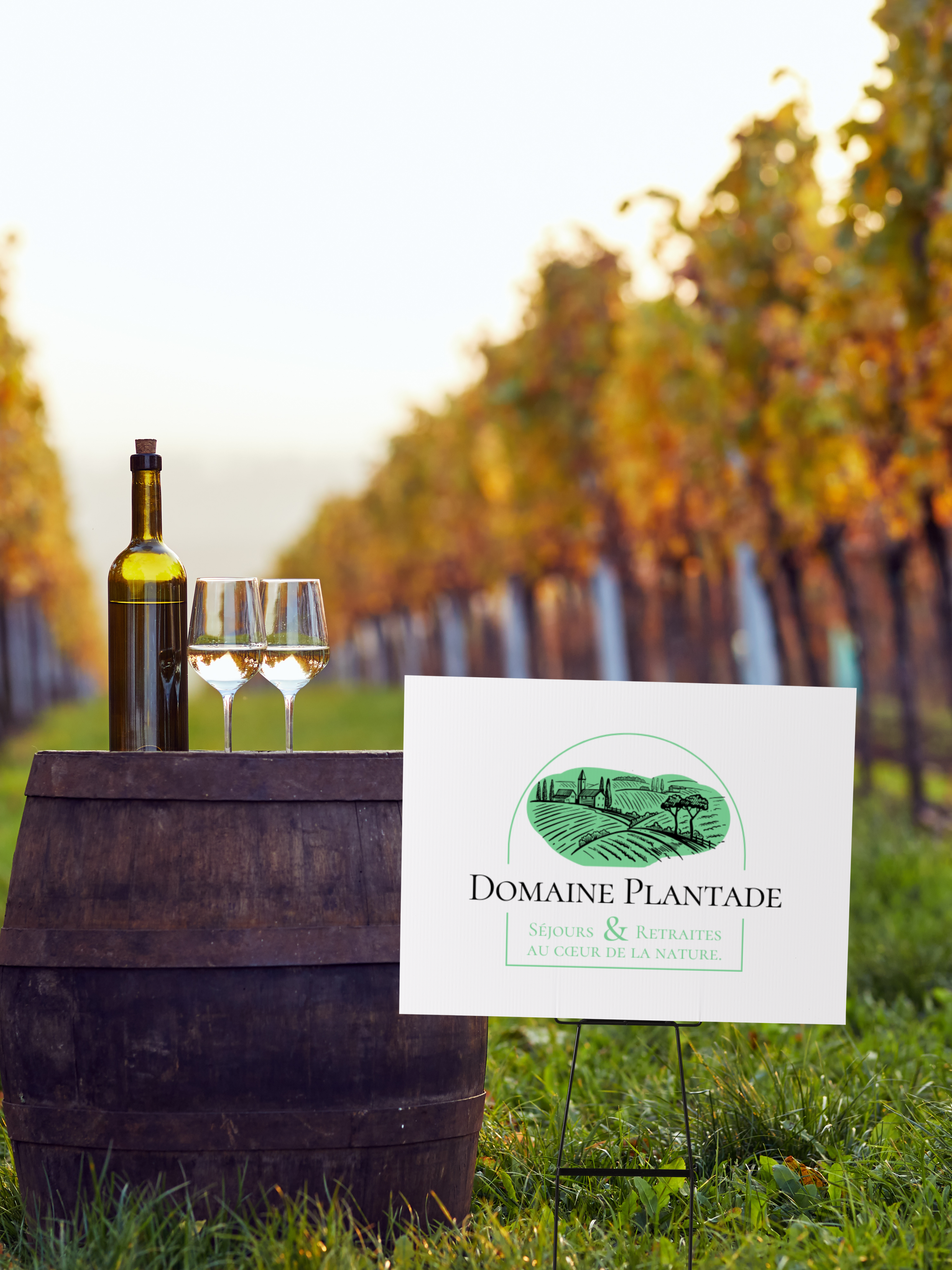 Le Cube - Agence Web Création - WordPress - Le Cube - project domaine Plantade