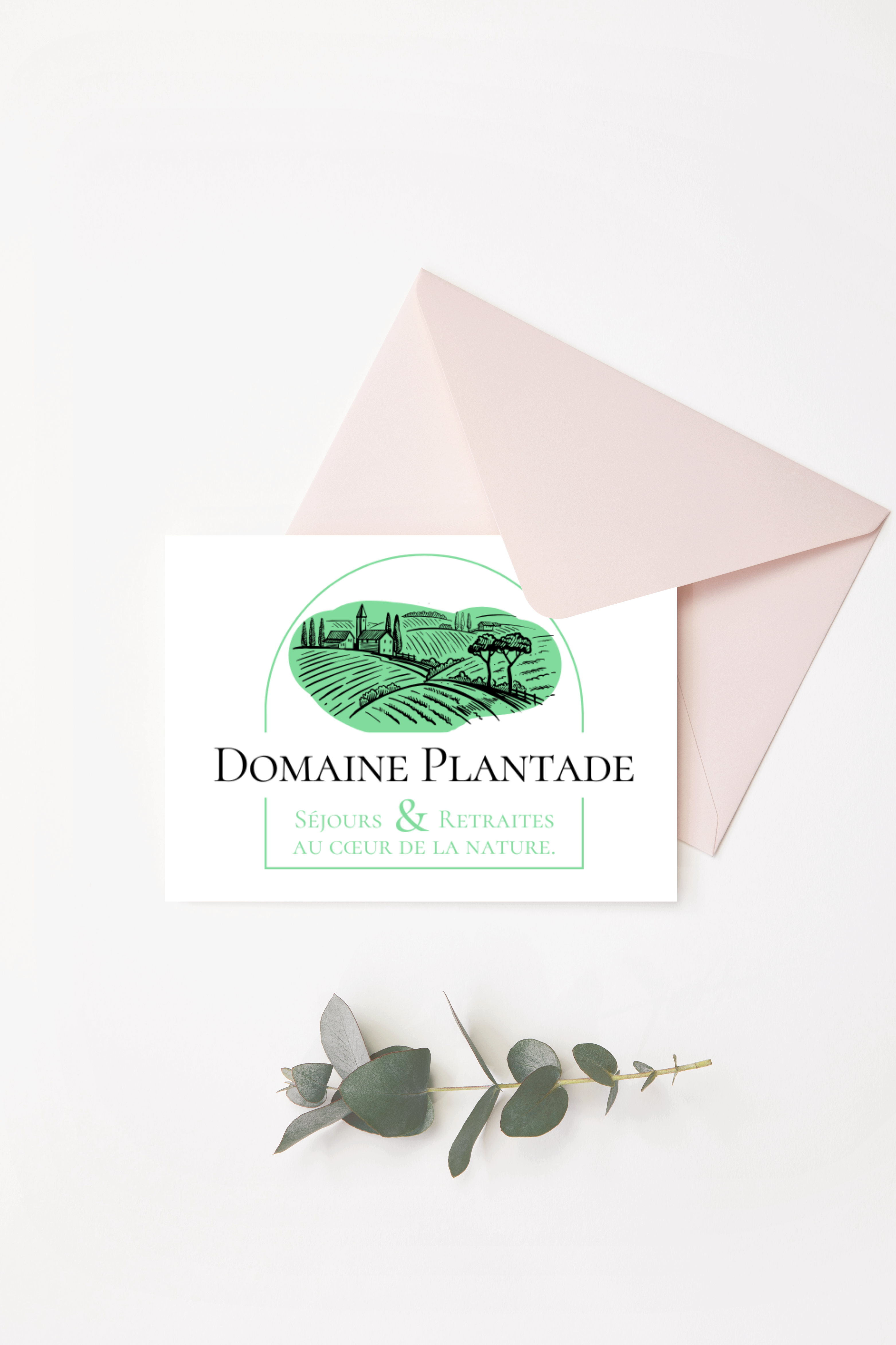 Le Cube - Agence Web Création - WordPress - Le Cube - project domaine Plantade