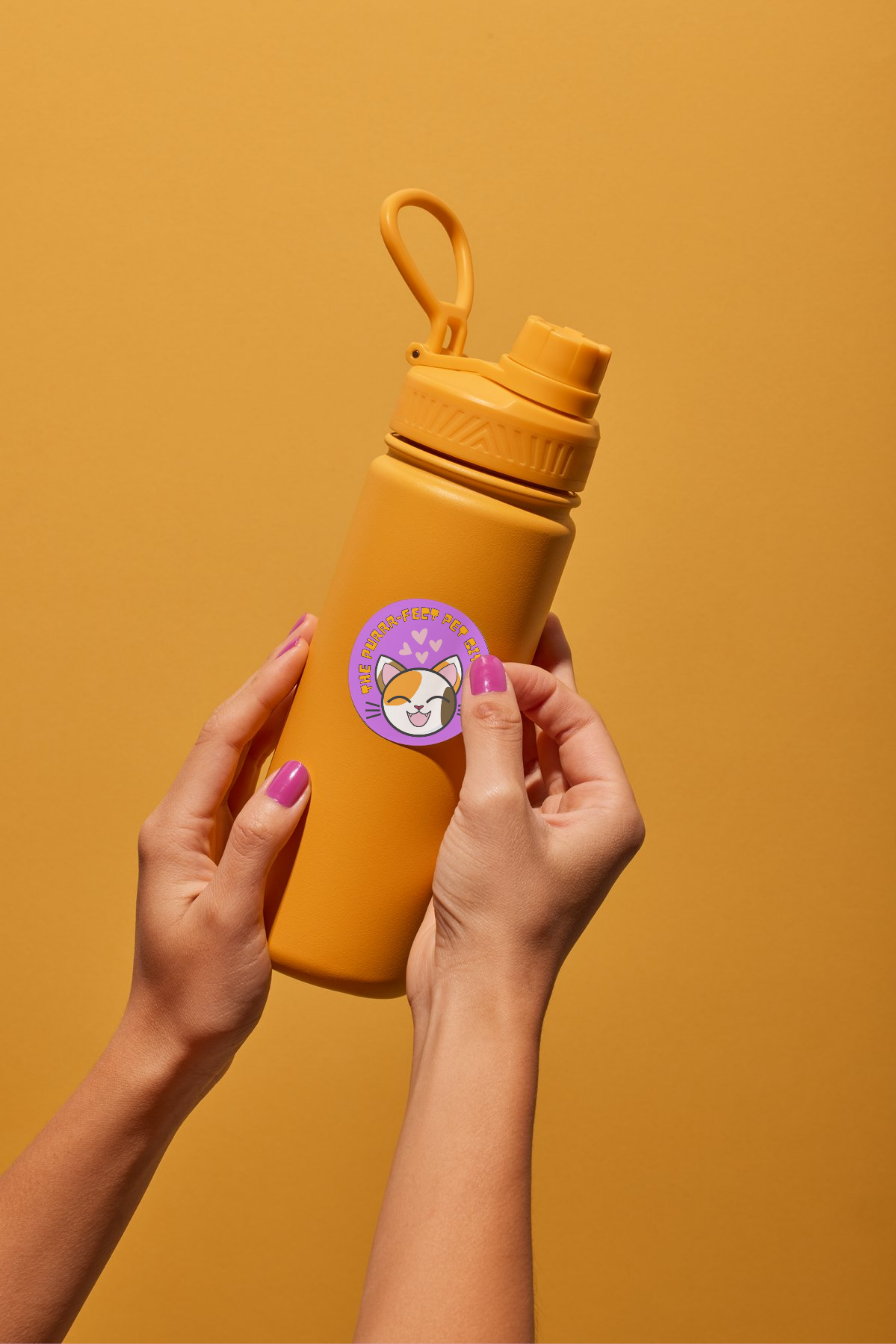 Le Cube - Agence Web Création - WordPress - Le Cube - project The Purrrfect Petsitter